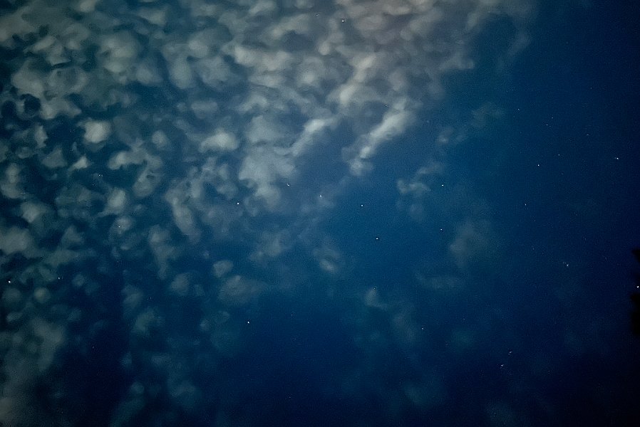 IMG 7222