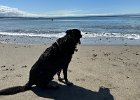 IMG 7228