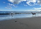 IMG 7275