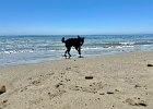 IMG 7599