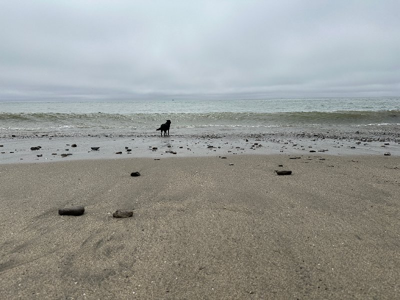 IMG 7637