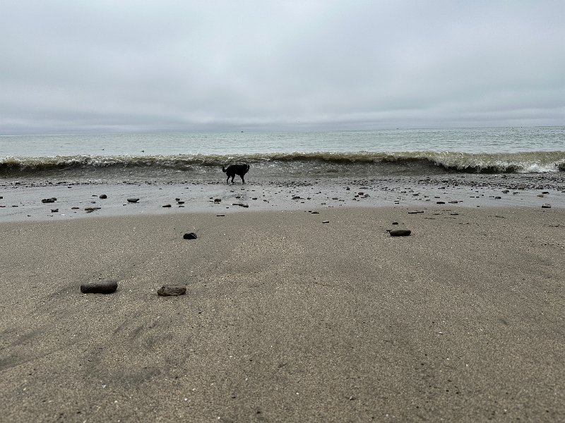 IMG 7639