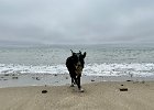 IMG 7644