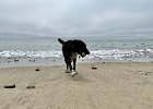 IMG 7646