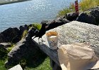 IMG 7824  Cheeky Grackle was acting like it was going to help itself to the biscotti.