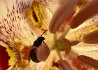 IMG 7878