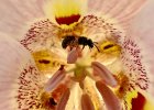 IMG 7881
