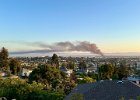 IMG 7931