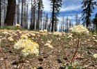 IMG 8430