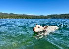 IMG 8831