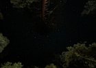 IMG 8858
