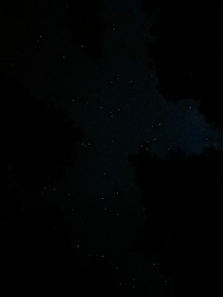 IMG 8859