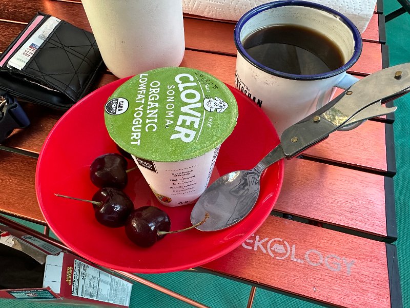 IMG 8878