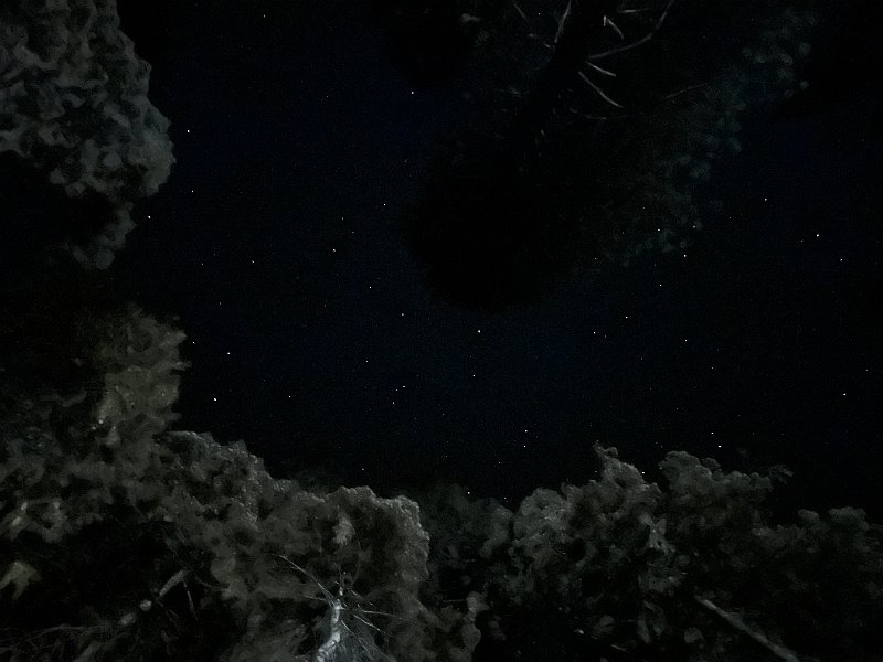 IMG 8923