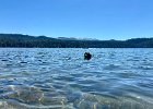 IMG 8941