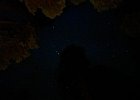IMG 8992  Arcturus is the alpha star of constellation Bootes. 4th brightest star overall.