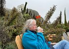 IMG 9205