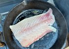 IMG 9231