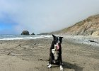IMG 9290