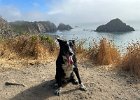 IMG 9304