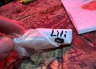 IMG 9664