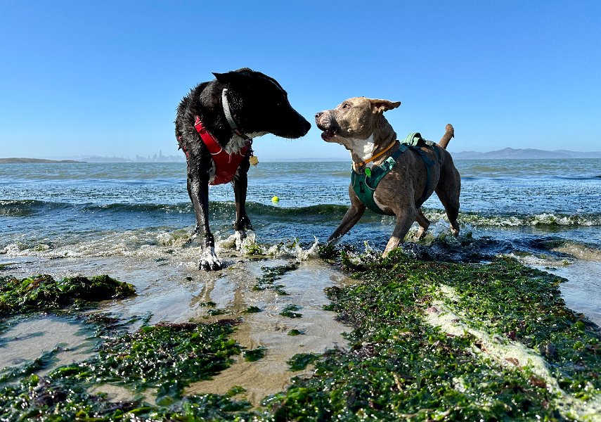 IMG 0011