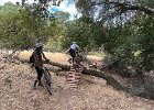 IMG 0301