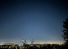 IMG 0342