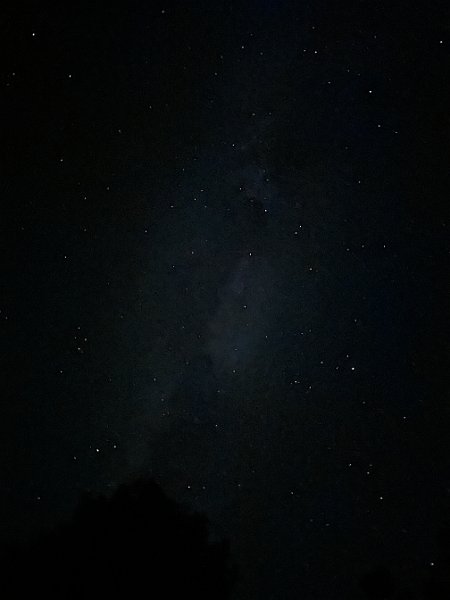 IMG 0544