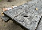 IMG 0546  A raccoon pooped on the picnic table overnight. Rude!