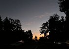 IMG 0603