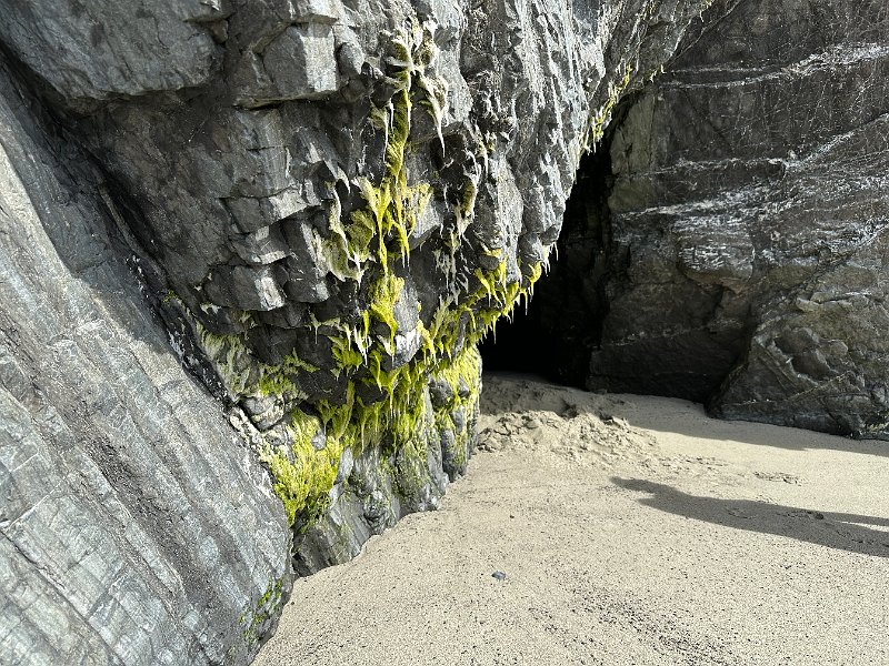 IMG 0672