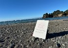 IMG 0617  OK