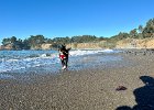 IMG 0620
