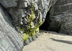 IMG 0672