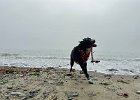 IMG 0682