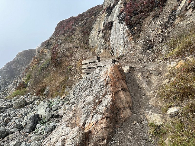 IMG 0744