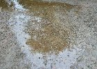 IMG 0735