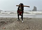 IMG 0754