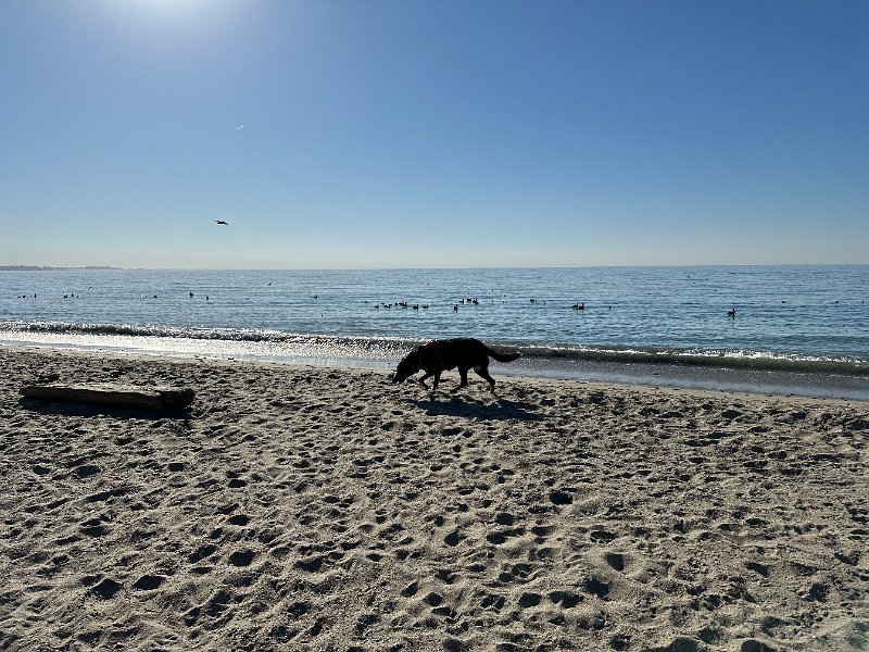 IMG 0884