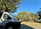 IMG 0883