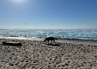 IMG 0884