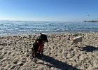 IMG 0885
