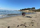 IMG 0888