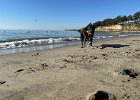 IMG 0892