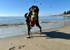 IMG 0899