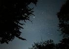 IMG 0944