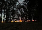 IMG 1273