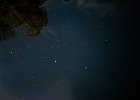 IMG 1280