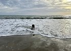 IMG 1435